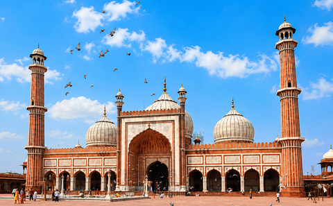 Delhi: Private Old and New Delhi Full or Half-Day Tour