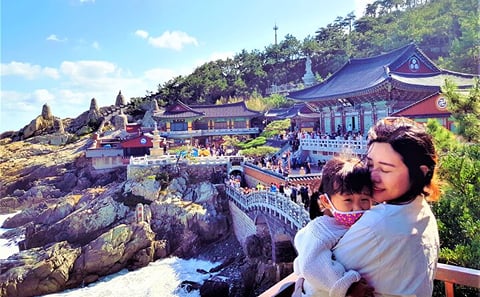 Premium Small Group Tour of Busan's Coastal Highlights