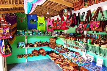 Zipline Adventure and Wildlife Encounter in West Bay, Roatán