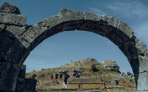 Private Guided Day Tour from Izmir to Didyma and Ancient Sites
