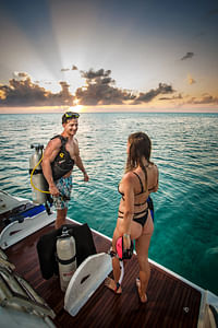 All Inclusive Cancún: Dive & Yacht 51¨Leopard The Office 10hrs