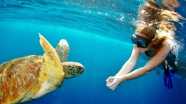 Surin Islands - The Snorkelling Experience from Phuket