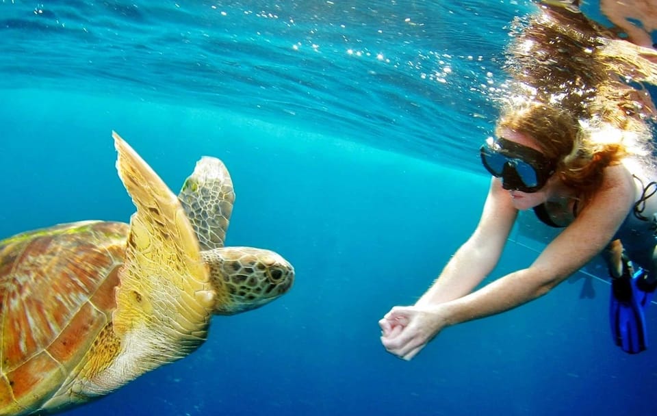 Surin Islands – The Snorkelling Experience from Phuket