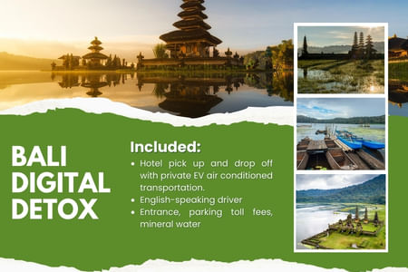 BALI DIGITAL DETOX