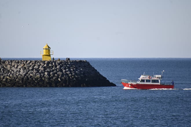 Viðey Ferry - from Skarfabakki photo 2