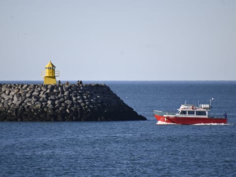 Viðey Ferry - from Skarfabakki, photo 2