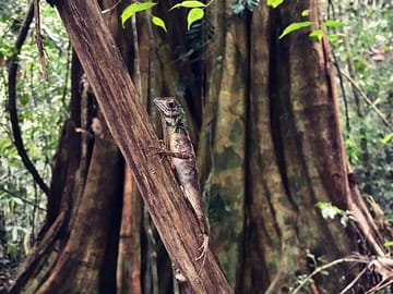 Wild Wonders Of Sri Lanka | 7 Days