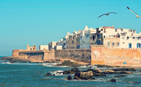Private Day Trip from Marrakech to Essaouira Port