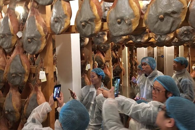 Parmigiano-Reggiano and Parma Ham Tour photo 6