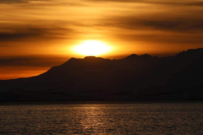 Akureyri Express Whales in the Midnight Sun 4