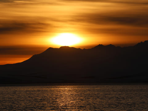 Akureyri Express Whales in the Midnight Sun, photo 4