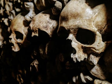 Explore the Paris Catacombs on a Guided Day Trip