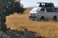 customized vehicle with a pop roof for easy game viewing and PhotographyGame drive