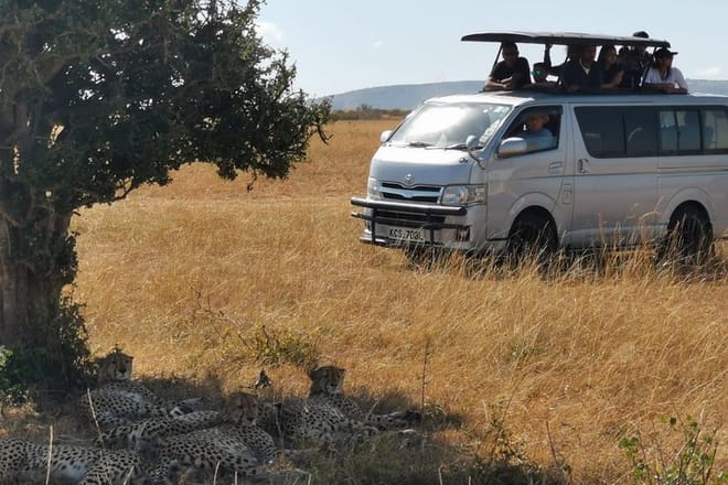 customized vehicle with a pop roof for easy game viewing and PhotographyGame drive