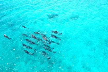 4 Nights 5 Days Romantic Maldives Escape