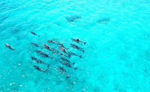 Romantic 4-Night Getaway at Noah Beach House, Himmafushi