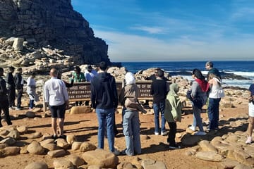 Full Day Tour of Cape Point, Boulders Beach, and Chapman's Peak