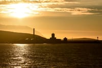 Akureyri Classic Whales in the Midnight Sun 6