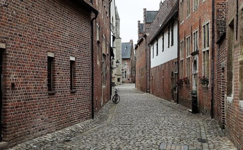 Gothic Landmarks and Medieval Heritage Walking Tour in Leuven