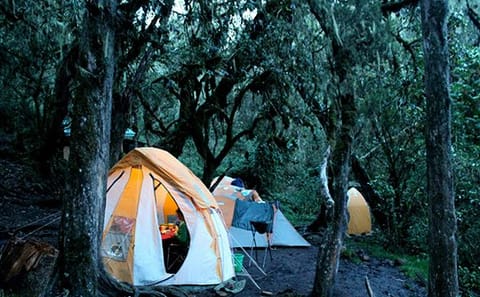 9 Day Kilimanjaro Climb -Machame Route