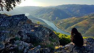 Private Premium Douro Valley Wine Tour
