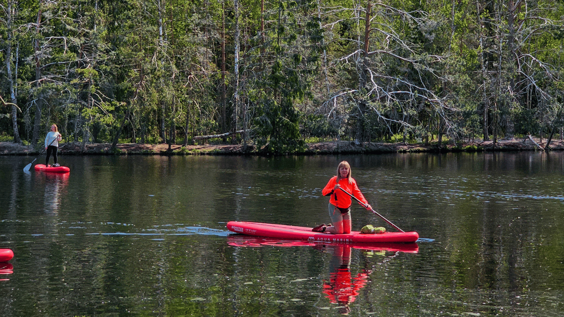 Latvian Jungle Tour on a SUP Board