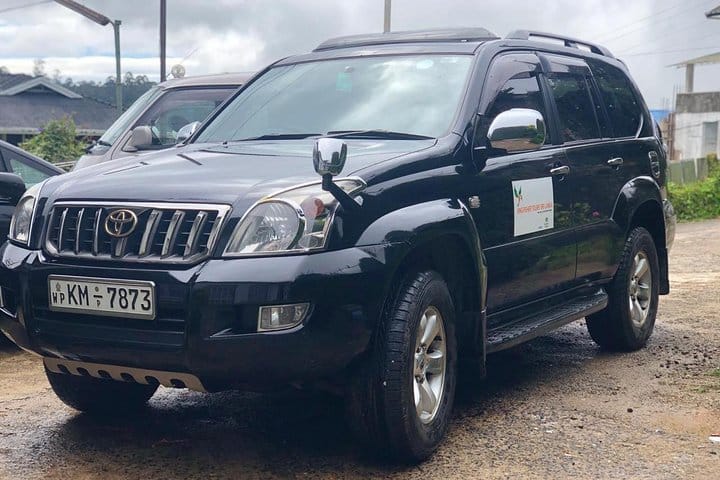 7 Days Private Transportation in Sri Lanka with Guide