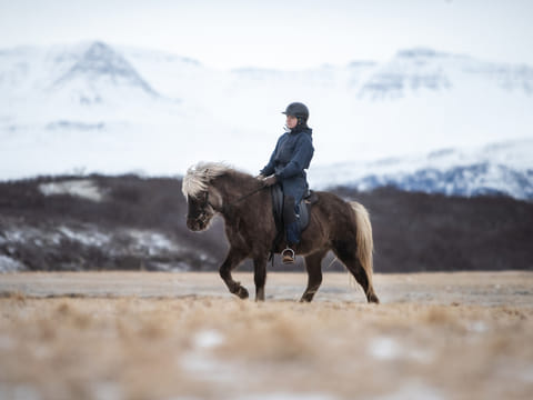 2,5h Trail Ride for Intermediate Riders, photo 5