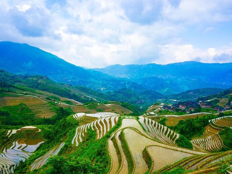 Mini Group: Longji Rice Terraced Fields and Minority Villages Tour