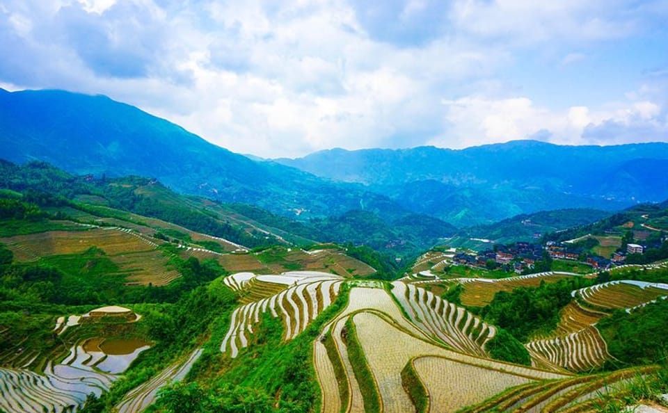 Longji Rice Terraced Fields and Minority Villages Hiking Tour