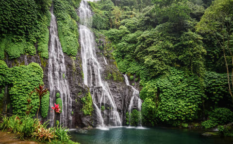 North Bali Day Tour: Jatiluwih Rice Terraces and Ulun Danu Temple