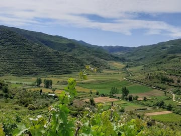 Off-Road ATV Tour and Wine Tasting in Berat, Albania