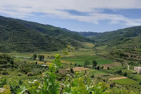 Berat Off-Road Adventure & Wine Tasting at Hadaj Winery in Malinat