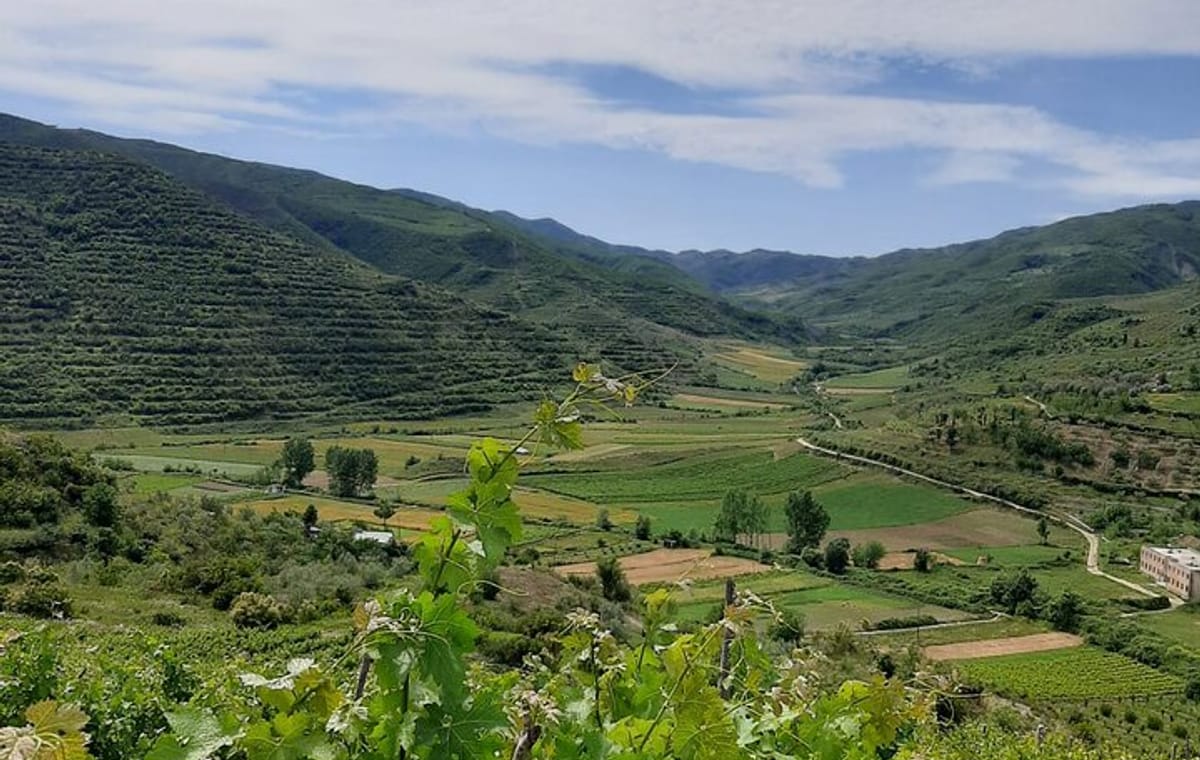 Berat 4×4 Off-Road and Vineyard Wine Tasting