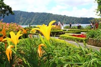Beautiful garden of northern Bali