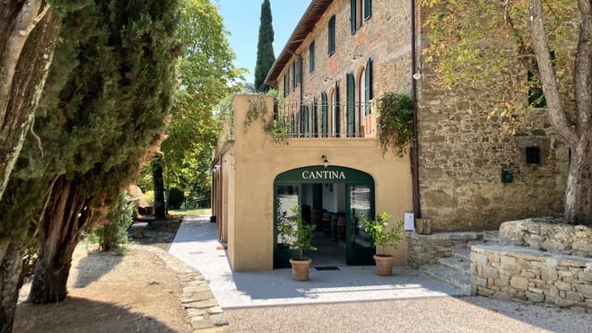 DISCOVERING MONTEMELINO - WINE EXPERIENCE BY LAKE TRASIMENO  - Photo 1