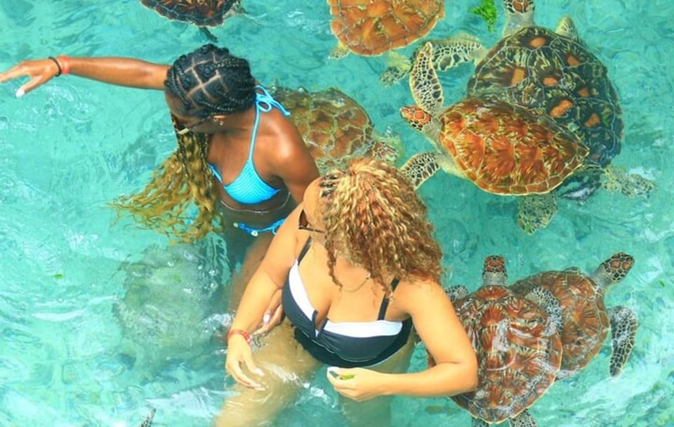 Swimming with Sea Turtles at Salaam Cave Aquarium in Kizimkazi