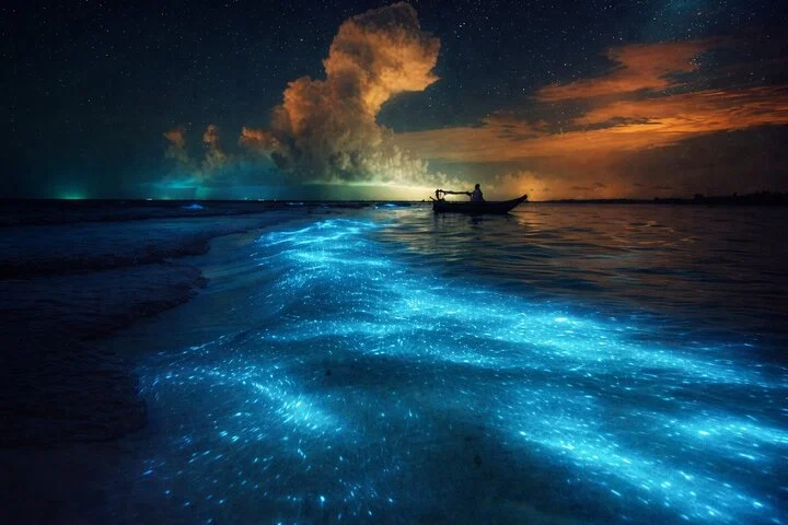 Tour en barco por bioluminiscencia y atardecer en el Santuario de Los Arcos