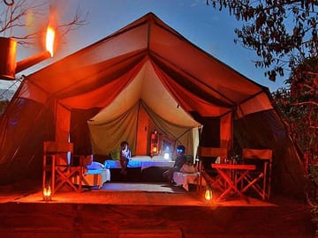 Private Leopard Nest Luxury Glamping Experience at Yala