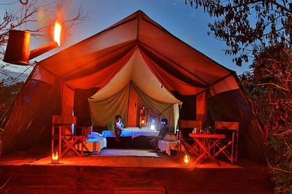 Private Leopard Nest Luxury Glamping Experience at Yala