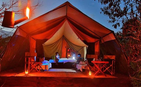 Private Leopard Nest Luxury Glamping Experience at Yala