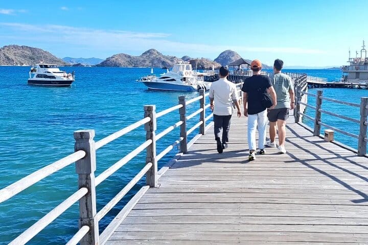 Small Group Komodo Fast Boat Tour with Padar Island & Pink Beach 3