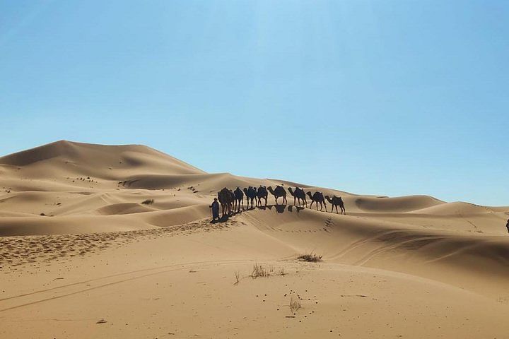 Marrakech to Fez Desert Adventure: Camel Ride & Stunning Landscapes