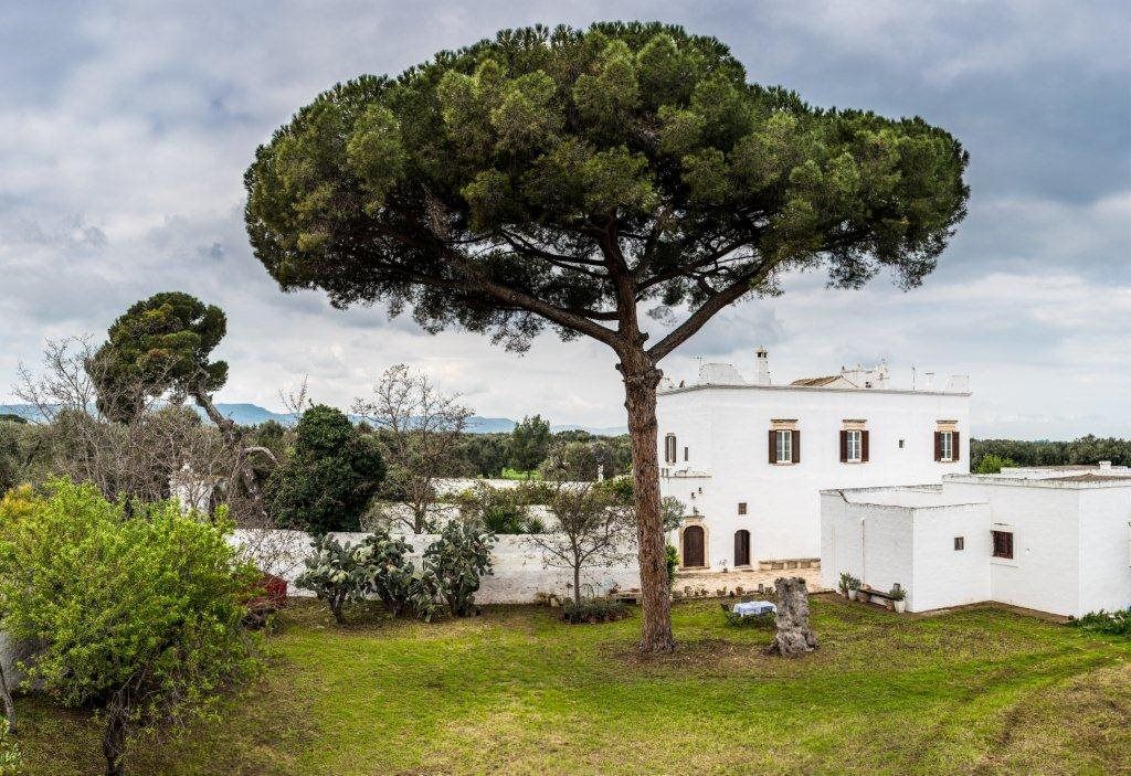 Extra-Virgin Olive Oil Tasting in a Farmhouse