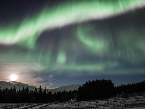 Private Northern Lights Photography Tour