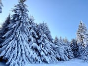 2 Day Private Adventure Tour in Vitosha mountain from Sofia 5
