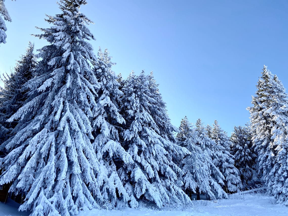 2 Day Private Adventure Tour in Vitosha mountain from Sofia 5