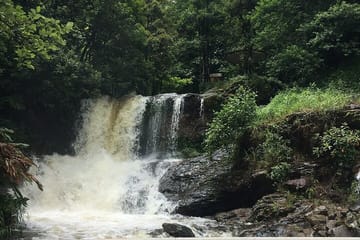 Sapa Easy Trekking Day Tour for kids and Seniors by Car Transfer