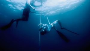 PADI Freediving Experience