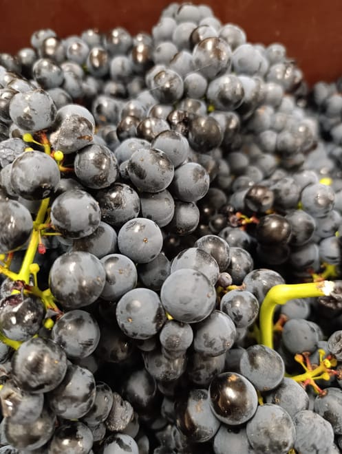 Three Day Rioja Wine Experience - Photo 26